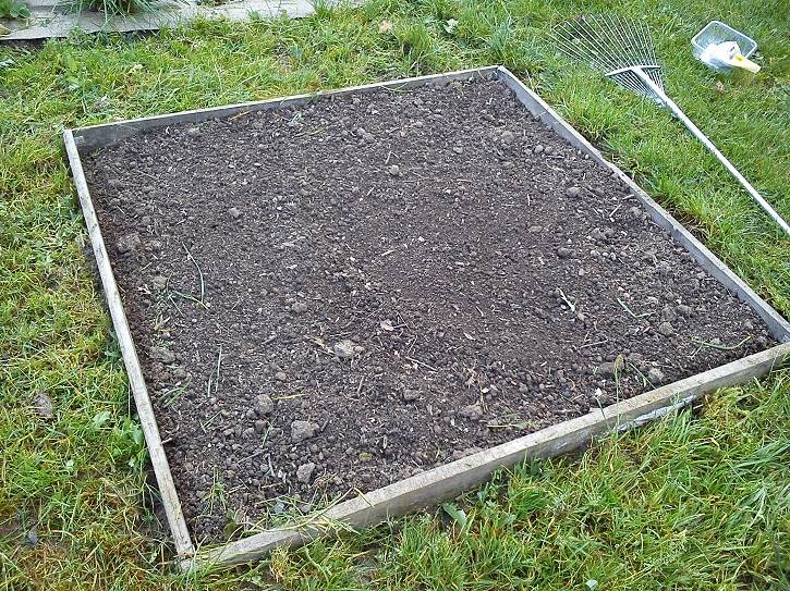 glebarozgrabiona - Przygotowujemy ziemię w warzywniku na następny sezon