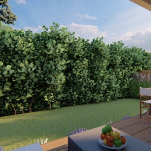 prosty ogrod nowoczesny projekt 5 300x300 - Prosty ogród przydomowy